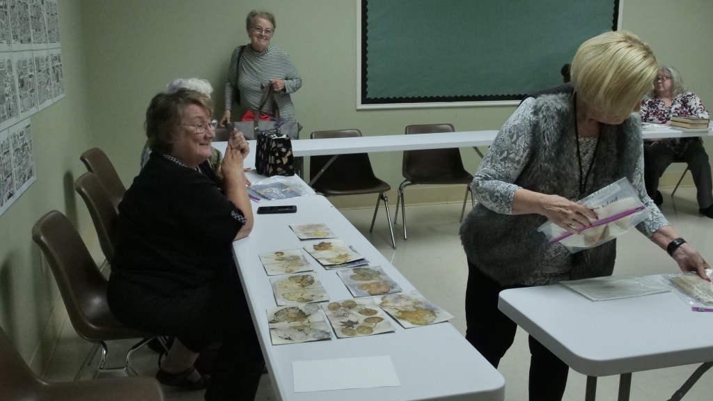 Shepherd's Center of Columbia