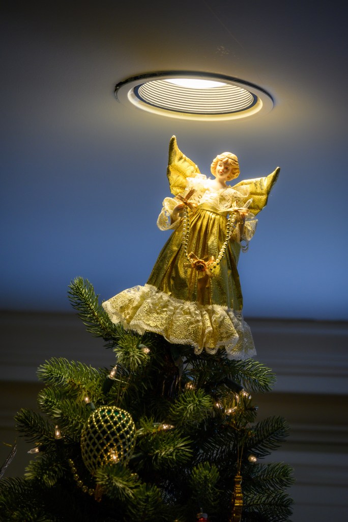 2023 Holiday party and Auction